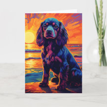 Cavalier King Charles Spaniel Coucher de soleil /