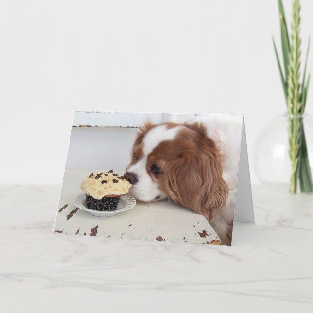 Carte Cavalier King Charles Spaniel Cupcake du vendredi (Devant)