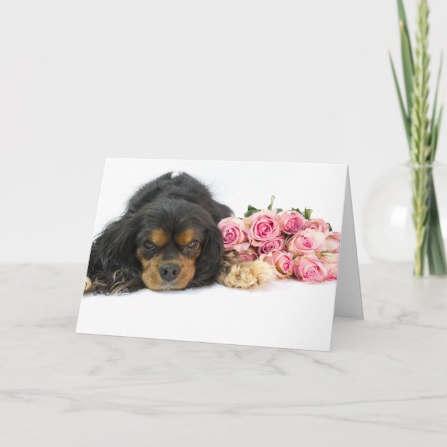 Carte Cavalier King Charles Spaniel Et Rose (Devant)