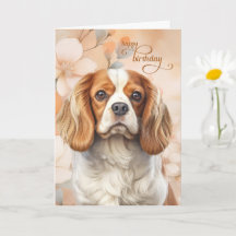 Cavalier King Charles Spaniel Fleur Anniversaire