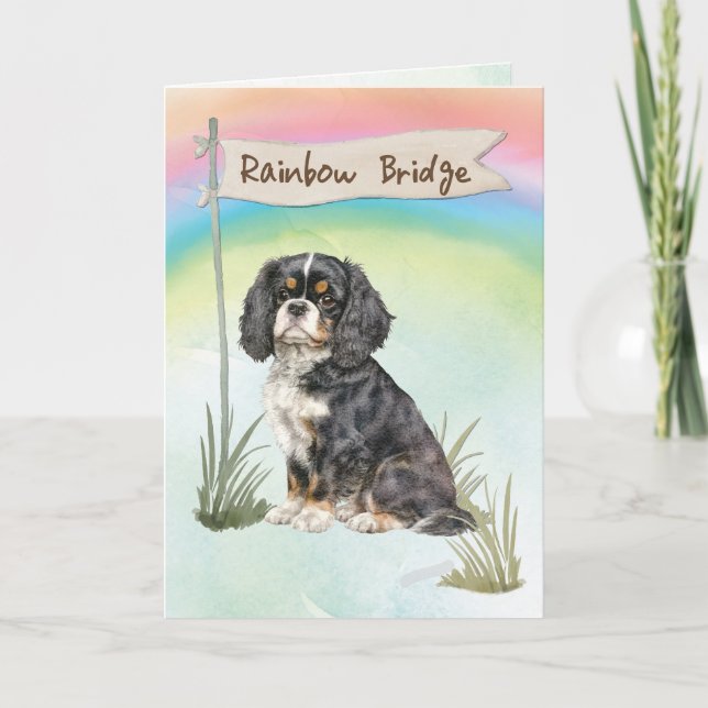 Carte Cavalier King Charles Spaniel Pet Sympathie (Devant)