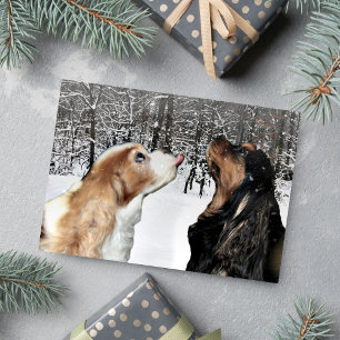 Carte Cavalier King Charles Spaniel sous la neige