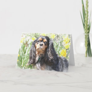 Carte Cavalier Peint King Charles Spaniel Voiture de voe