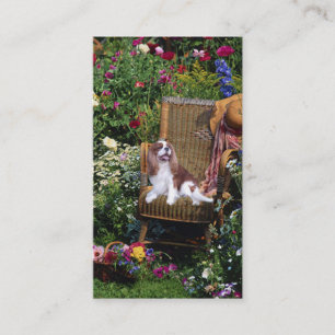 Carte cavalière de BreederBusiness d'épagneul du