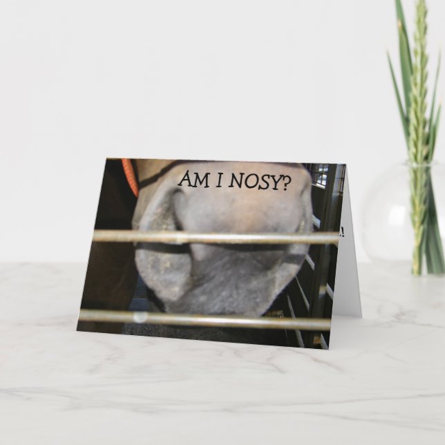 CARTE CE CHEVAL EST "PAS NOSY" JEUX ANNIVERSAIRE POUR VO (Devant)