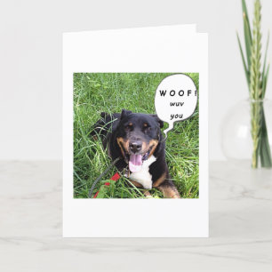 CARTE CE CHIEN QUI PARLE DIT WOOF - WUV VOUS-ANNIVERSAIR
