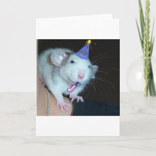 Carte Ce n'est pas une partie jusqu'à un rat révèle !