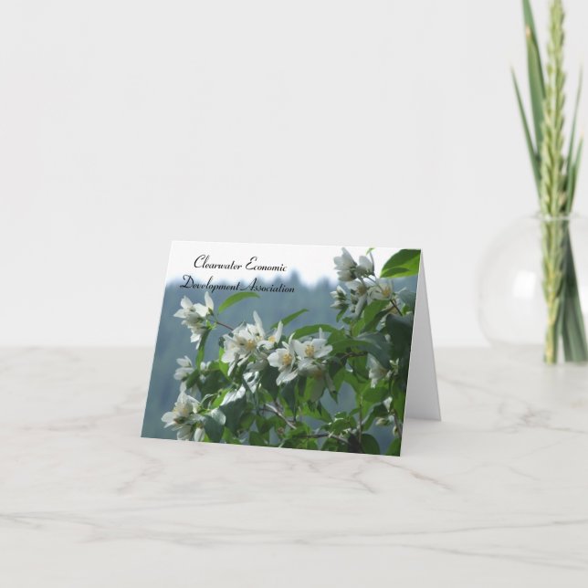 Carte CEDA - Syringa (Devant)