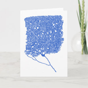 Carte Cellule Purkinje