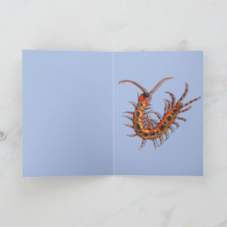 Carte Centipede