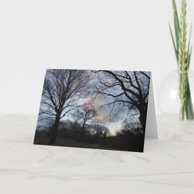 Carte Central Park B (Devant)