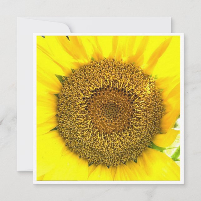 Carte Centre Sunflower (Devant)