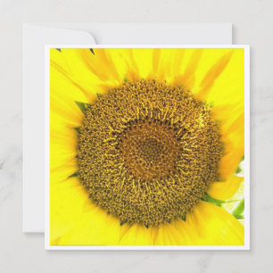 Carte Centre Sunflower