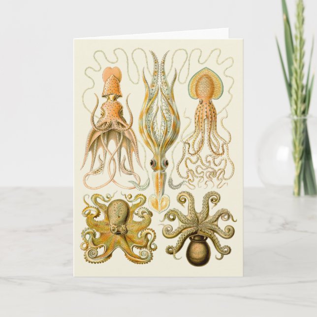 Carte Cephalopod poulpe calmar Nature marine (Devant)