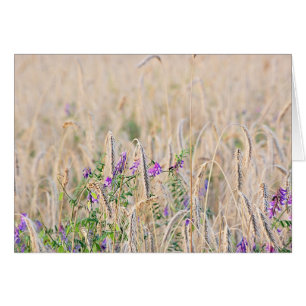 Carte céréalière en croissance