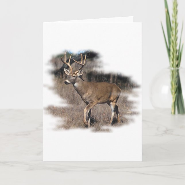 Carte Cerf blanc dans le champ (Devant)