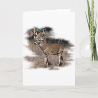 Carte Cerf blanc dans le champ