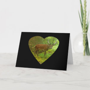 Carte Cerf de Cerf Rouge Forêt Sereine Tapis de Mousse C