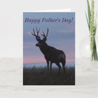 Cerf mulet D3 Buck Sunrise