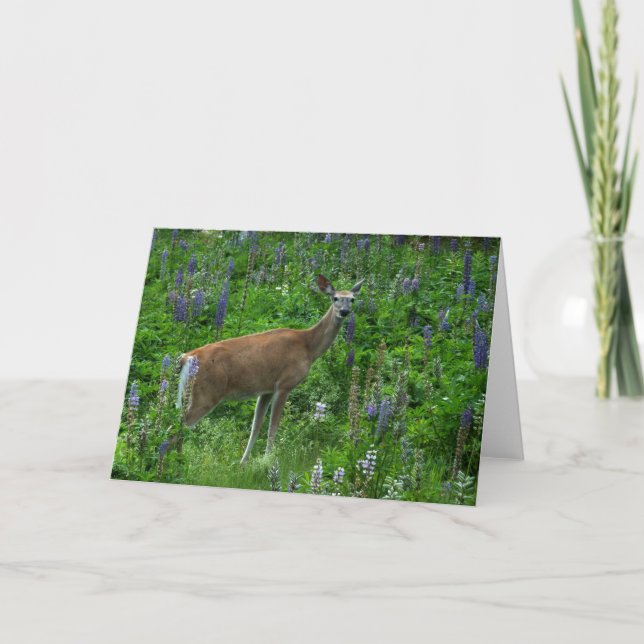 Carte Cerf parmi les lupines (Devant)