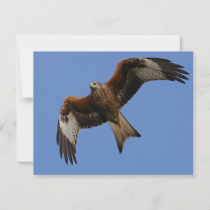 Carte Cerf-volant rouge