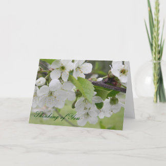 Carte cerisier en fleurs, Pensez à vous