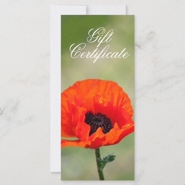 Carte Certificat cadeau à la fleur de pavot rouge (Devant)