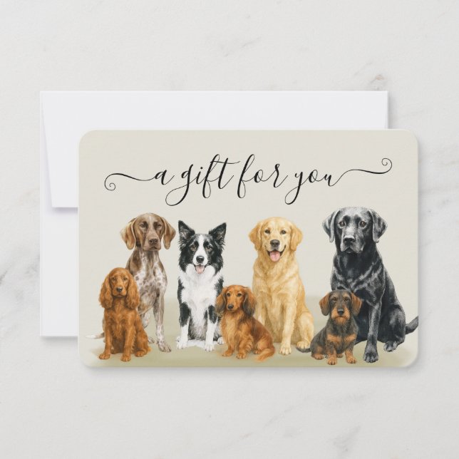 Carte Certificat d'embarquement pour animaux de compagni (Devant)