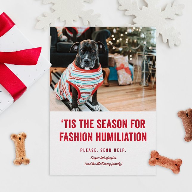 Carte C'est la saison de Noël de l'humiliation (funny humor Christmas holiday photo cards for pets in ugly sweaters or costumes fashion)