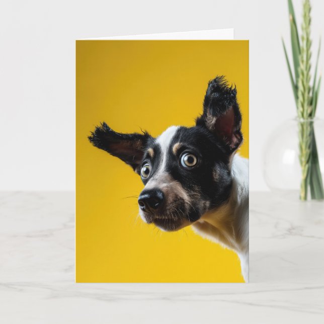 Carte "C'est le chien" Anniversaire (Devant)