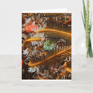 Carte C'est les petites choses...