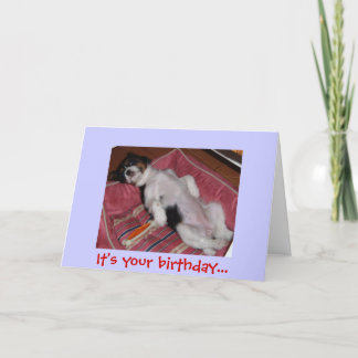 Carte C'est ton anniversaire...