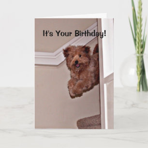 Carte C'est ton anniversaire heureux animal de compagnie