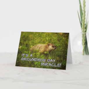 Carte C'est un miracle de la journée des marmottes ! car