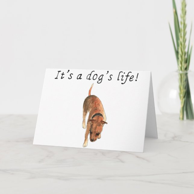 Carte C'est une vie de chien Cute Staffordshire Bull Ter (Devant)