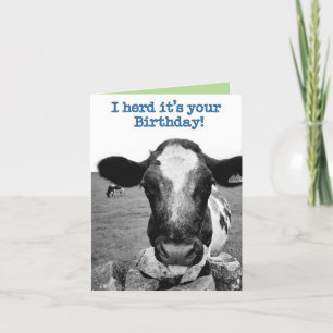 Carte C'était ton anniversaire - Cheeky Cow 