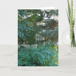 Carte Chambre abandonnée