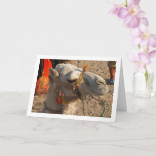 Carte Chameau blanc dans le désert