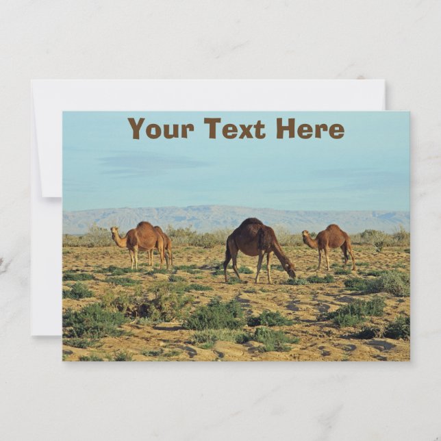 Carte chameaux personnalisable (Devant)