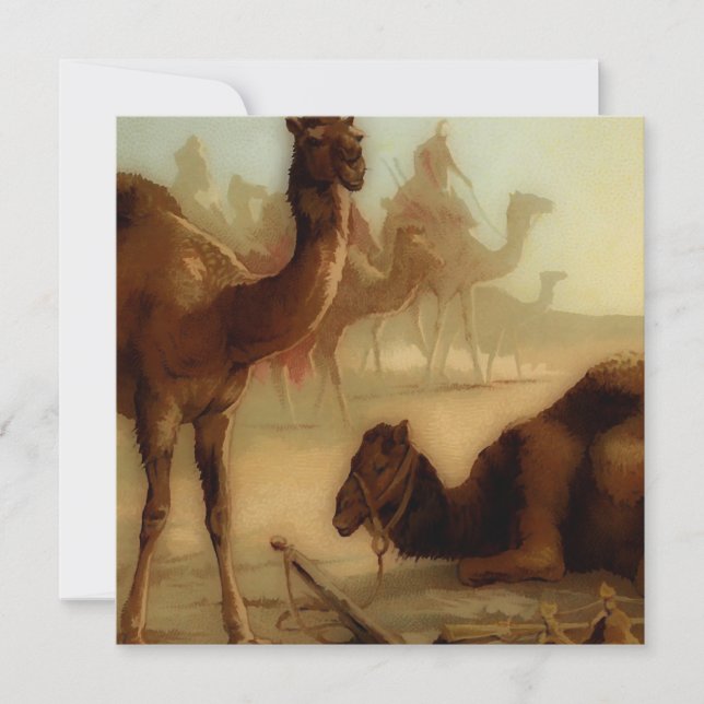 Carte chameaux vintages dans le désert (Devant)