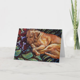 Carte Chamois Sleeps