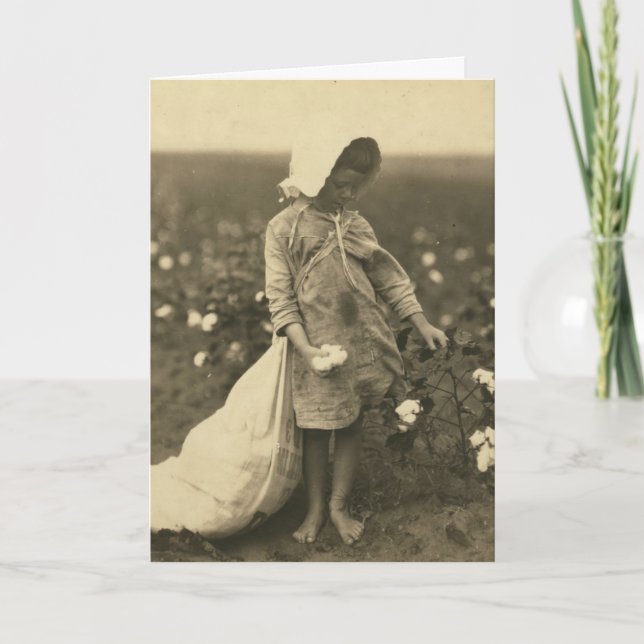 Carte Champ de coton (Devant)