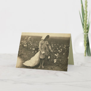 Carte Champ de coton