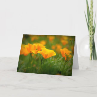 Carte Champ de crapets de Californie Orange Poppy Blank