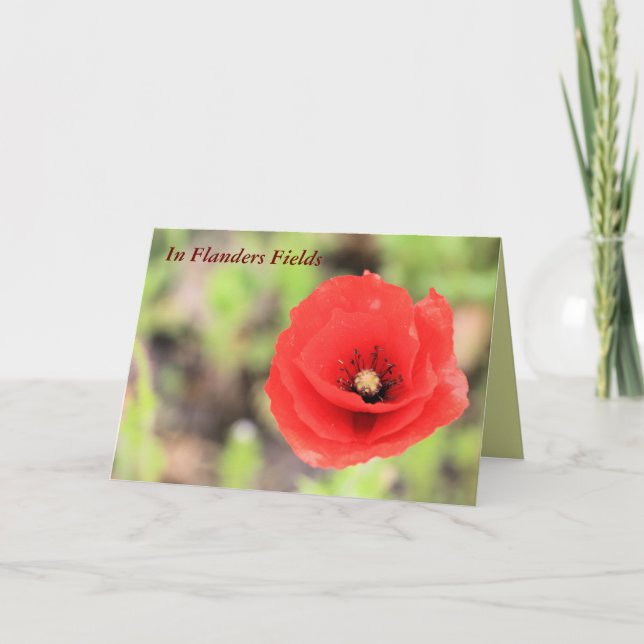 Carte Champ de Flandre coquelicot photo et poème (Devant)