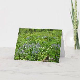 Carte Champ de Fleurs sauvages au Mont Rainier