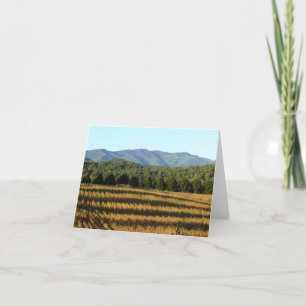 Carte Champ de maïs