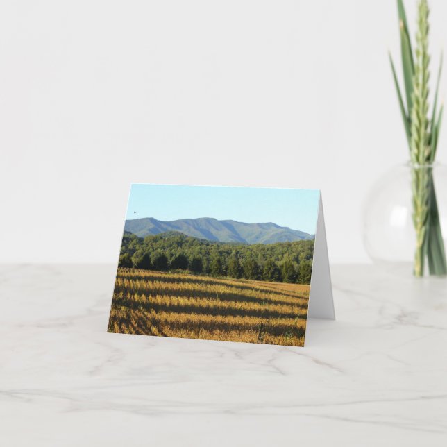 Carte Champ de maïs (Devant)