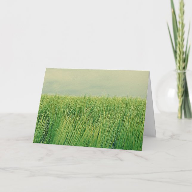Carte Champ vert (Devant)