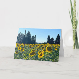 Carte Champs de tournesols, Provence, France -